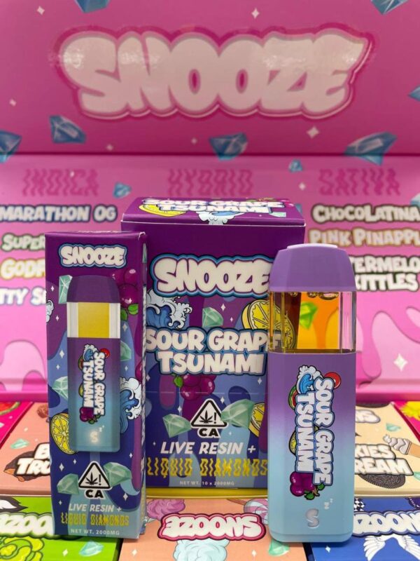 Snooze 2g Disposable Vape